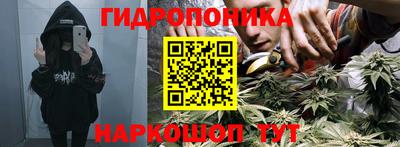 тгк Будённовск