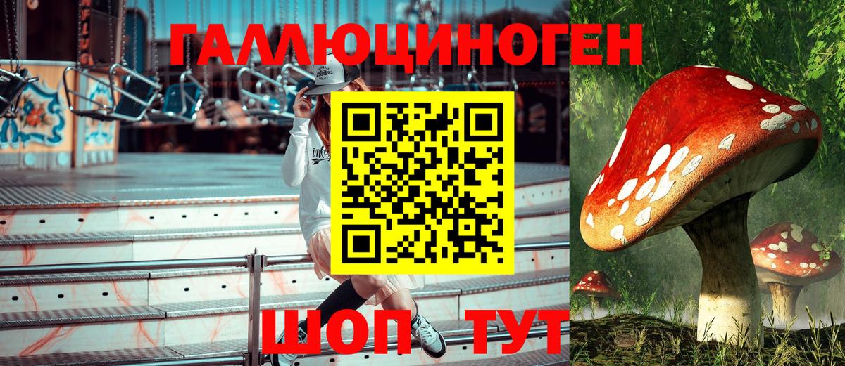 Галлюциногенные грибы Psilocybine cubensis Краснокаменск