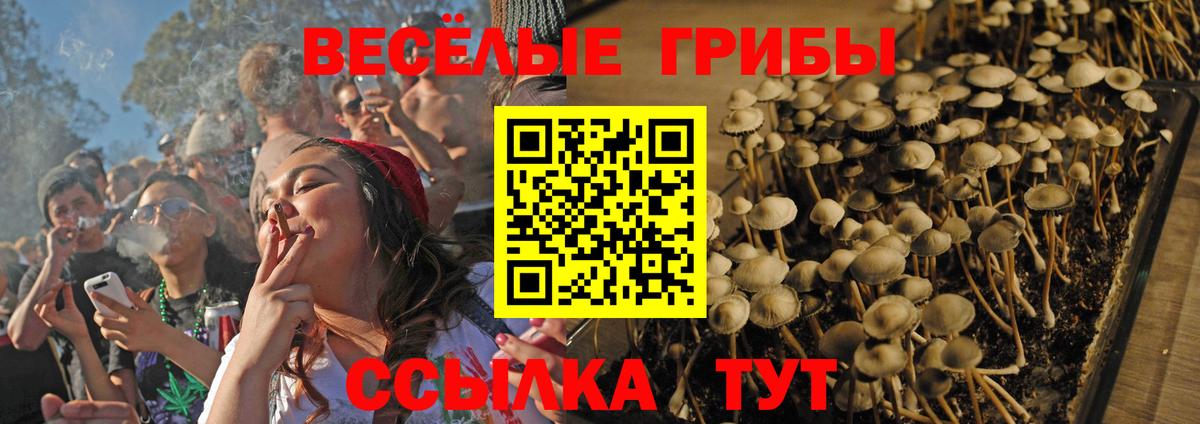 Галлюциногенные грибы прущие грибы  Вход с VPN  Краснокаменск 